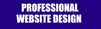 PROFESSIONAL WEBSITE DESIGN